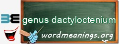 WordMeaning blackboard for genus dactyloctenium